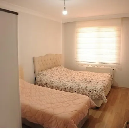 Apartment Stylish&lively